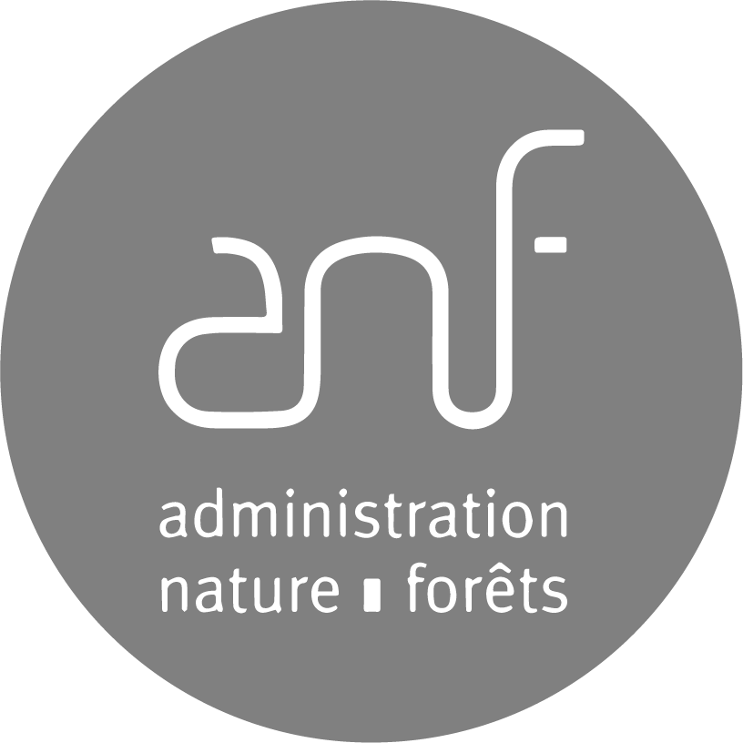 Logo anf